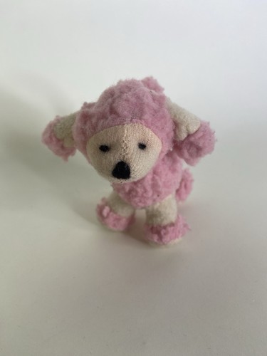 Mini barboncino rosa - barboncino, cane