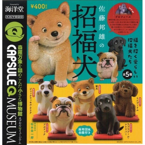 Miniq sato kunio lucky - sato, dog