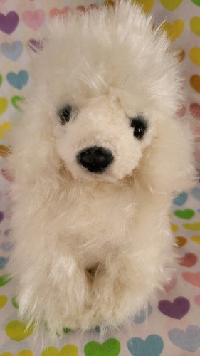 Russ piccolo barboncino bianco - piccolo,