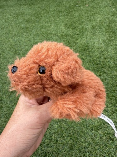 Russ petooties pet - russ, moka