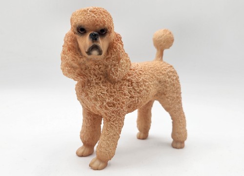 Barboncino cane figura